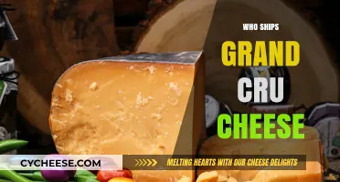 Discovering Grand Cru Cheese: Who Ships This Gourmet Delight?