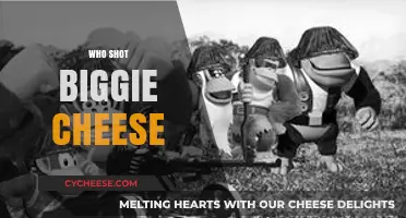 Unraveling the Mystery: Who Shot Biggie Cheese and Why?