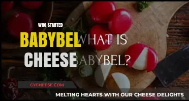 The Surprising Origins of Babybel Cheese: A Tasty History