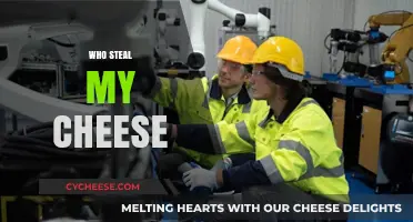 Who Stole My Cheese? Navigating Change and Embracing New Opportunities