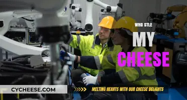 Who Moved My Cheese? Navigating Change and Finding New Opportunities