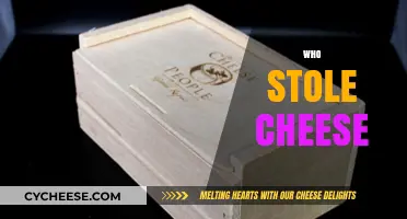 The Mysterious Disappearance: Who Stole the Cheese and Why?