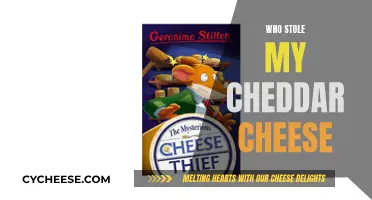 The Mysterious Disappearance of My Cheddar: A Detective's Tale