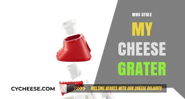 Who Stole My Cheese Grater? Unraveling the Mystery of the Missing Kitchen Tool
