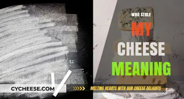 Who Stole My Cheese? Unraveling the Meaning Behind the Metaphor