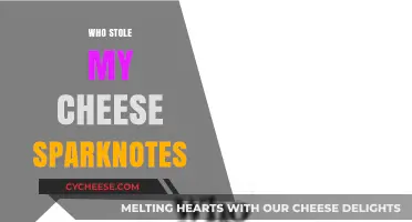 Who Stole My Cheese? SparkNotes: Navigating Change and Finding New Cheese