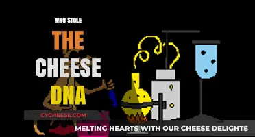 Who Stole the Cheese DNA? Unraveling the Mystery of the Missing Genetic Code
