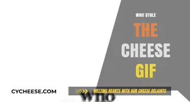 Who Stole the Cheese GIF? The Hilarious Mystery Explained