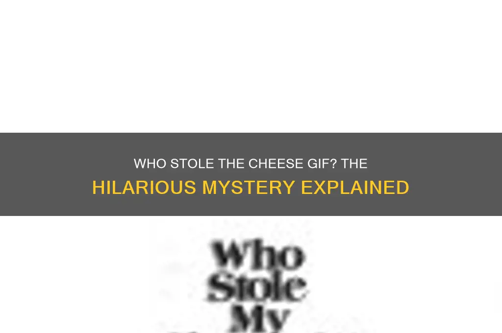 who stole the cheese gif