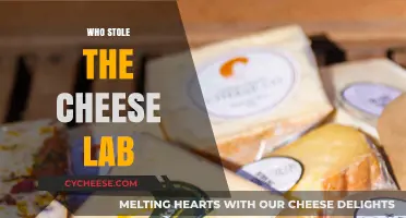 Who Stole the Cheese Lab? Unraveling the Mystery Behind the Missing Experiment