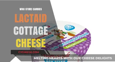 Where to Buy Lactaid Cottage Cheese: Stores That Carry It