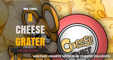 Who Steals a Cheese Grater? Unraveling the Bizarre Tale