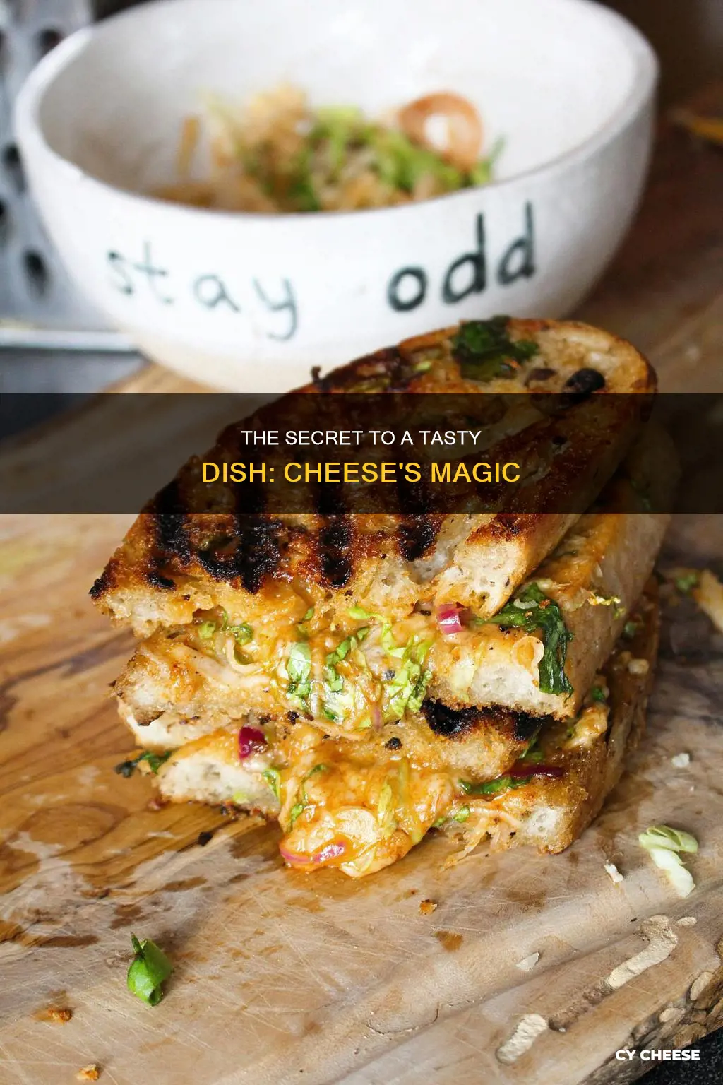 who told you to put the cheese on