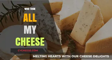 Who Took All My Cheese? Navigating Change and Finding New Opportunities