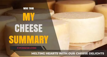 Who Took My Cheese Summary: Lessons in Change and Adaptation