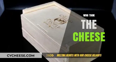 Who Took the Cheese? Unraveling the Mystery Behind the Missing Snack