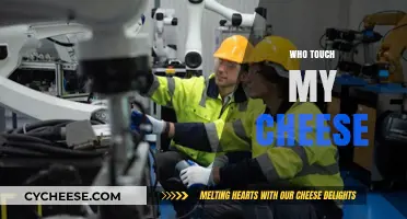 Who Touched My Cheese? Navigating Change and Embracing New Opportunities