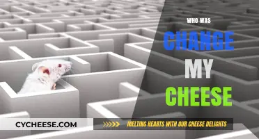 Who Moved My Cheese? Unraveling the Story Behind the Change