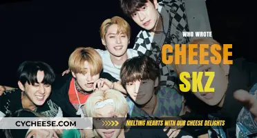 Unveiling the Creative Minds Behind SKZ's 'Cheese' Track