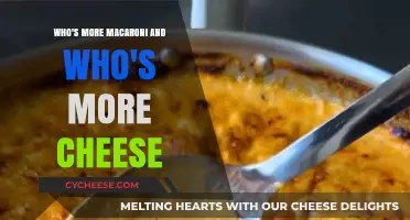 The Dynamic Duo: Macaroni and Cheese's Perfect Pairing