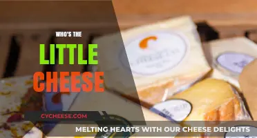 Who's the Little Cheese? Unraveling the Mystery Behind the Tiny Dairy Delight