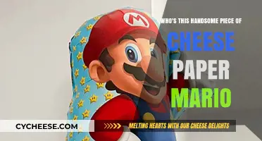 Who's That Handsome Cheese? Unraveling Paper Mario's Charming Mystery