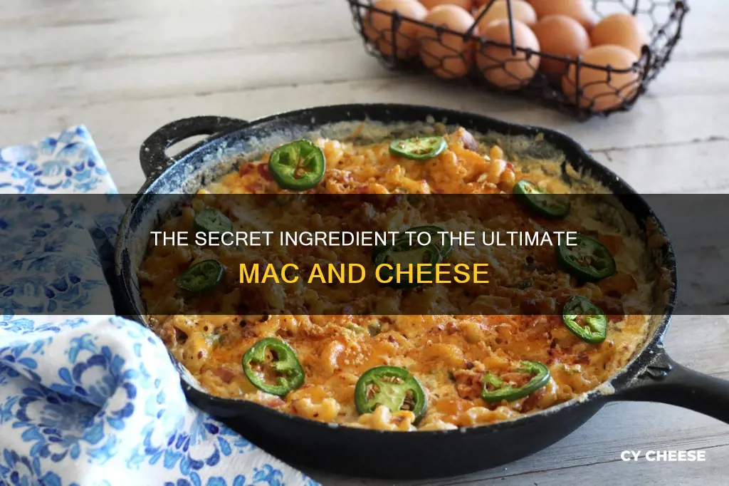 why add an egg to macaroni and cheese