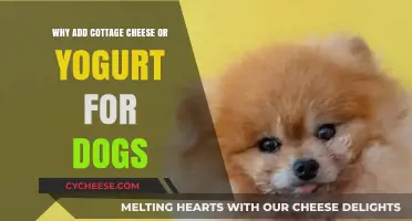 Boost Your Dog's Health: Cottage Cheese and Yogurt Benefits
