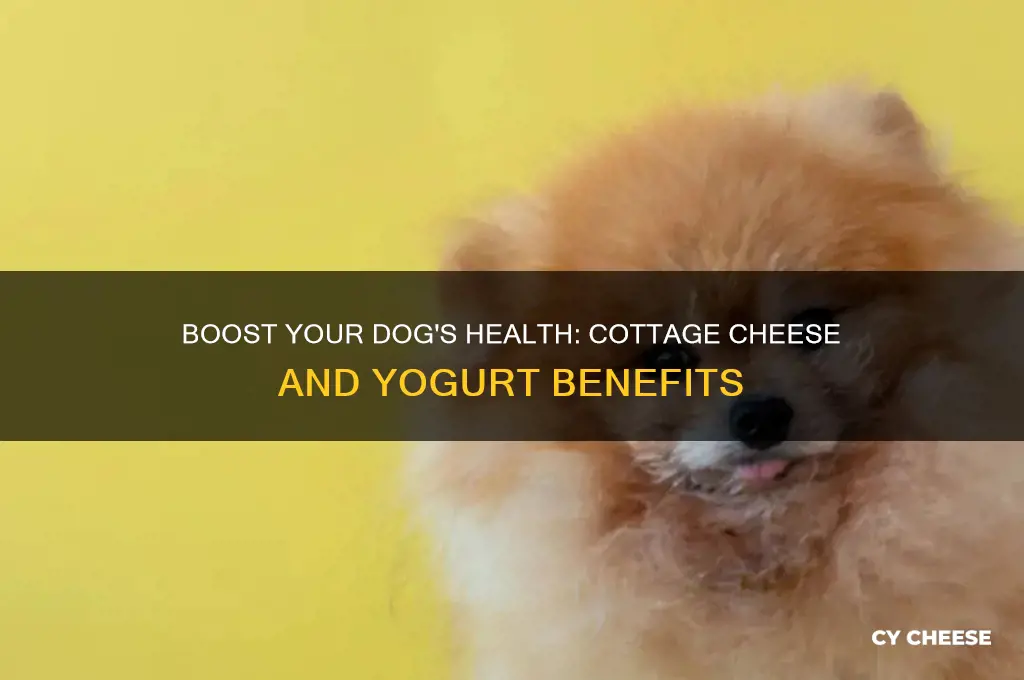 why add cottage cheese or yogurt for dogs