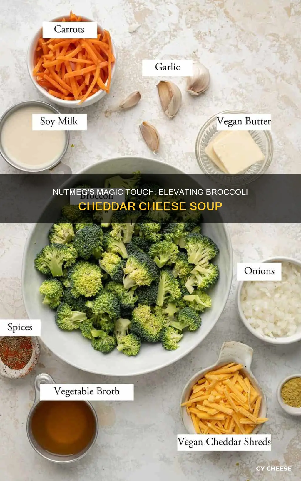 why add nutmeg to broccoli cheddar cheese soup