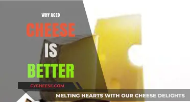 The Timeless Appeal: Why Aged Cheese Outshines Fresh Varieties