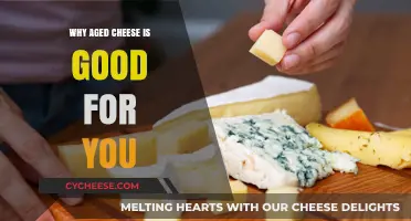 Aged Cheese Benefits: Nutrient-Rich, Gut-Friendly Superfood for Health
