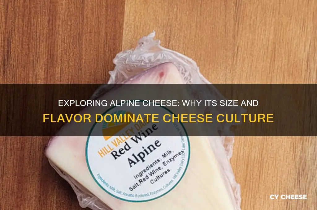 why alpine cheese is big