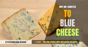 Blue Cheese: My Culinary Addiction and Why