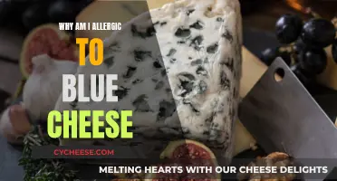 Blue Cheese Blues: Why My Allergies React