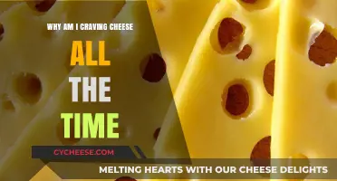 Why Cheese Cravings Persist: Unraveling the Cheesy Obsession Mystery