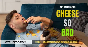 Cheese Cravings: Why Do I Want More?