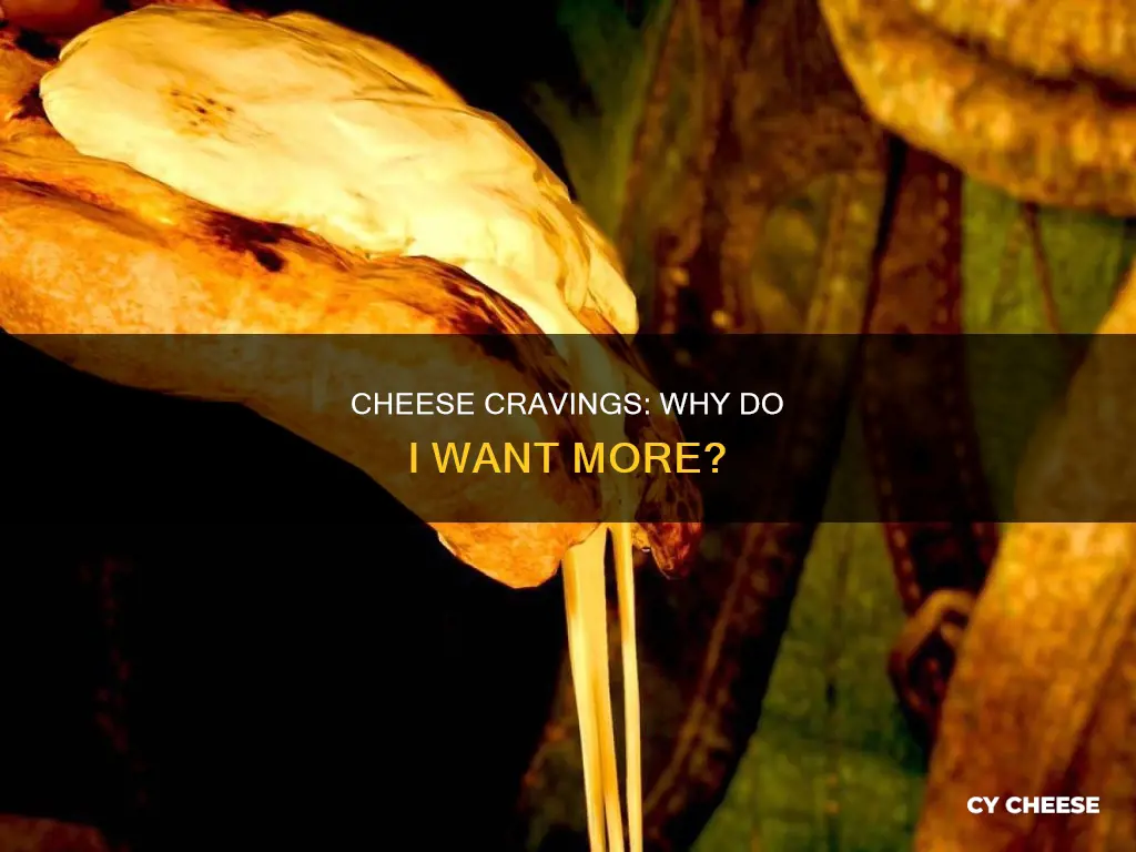 why am i craving cheese so bad