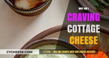 Unraveling the Mystery: Why Am I Craving Cottage Cheese?