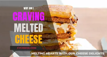Cheese Pull: Why Melted Cheese is Irresistible