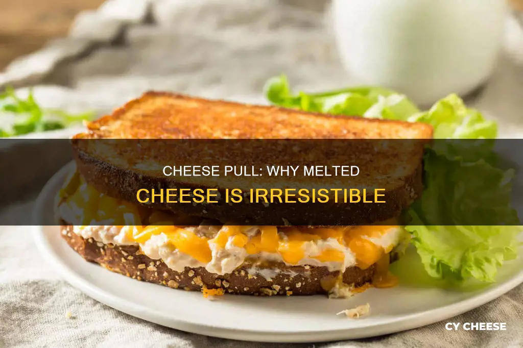 why am i craving melted cheese