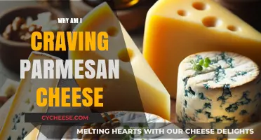 Parmesan Cravings: What Your Body Is Asking For