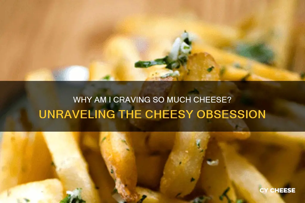 why am i craving so much cheese