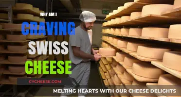 Swiss Cheese Cravings: What Your Body Needs