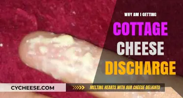Understanding Cottage Cheese Discharge: Causes, Concerns, and When to Seek Help