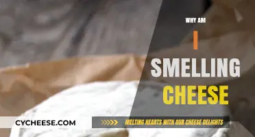 Why Do I Smell Cheese? Uncovering the Odd Olfactory Mystery