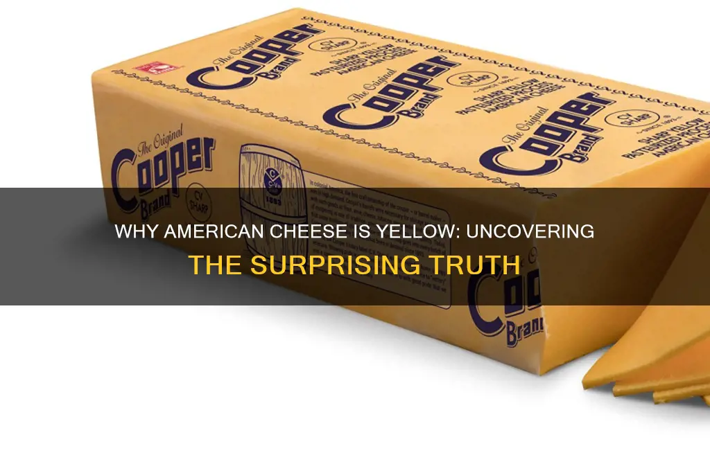 why american cheese is yellow