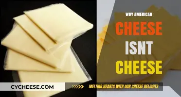 Why American Cheese Isn't Cheese: Unraveling the Dairy Mystery