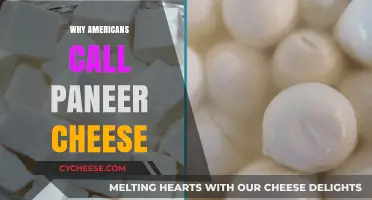 Why Americans Mistakenly Label Paneer as Cheese: A Cultural Misnomer