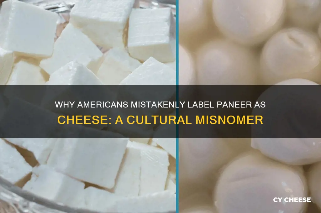 why americans call paneer cheese
